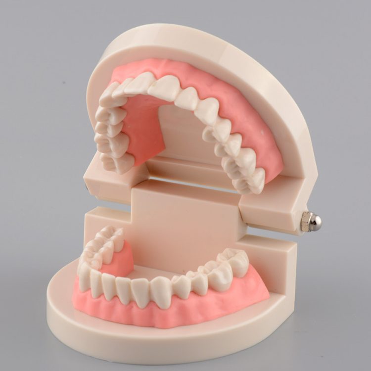 Khám răng định kỳ để có hàm răng chắc khỏe