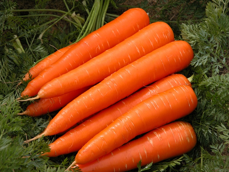 Công dụng và các phương pháp làm đẹp da từ cà rốt
